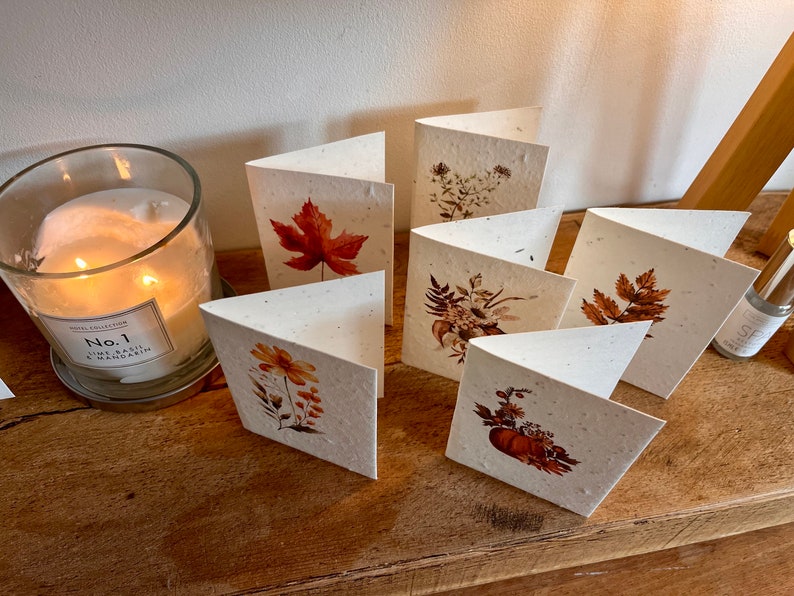 12 cute, mini lavender seeded cards with individual autumnal botanicals on each card image 10