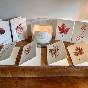 12 cute, mini lavender seeded cards with individual autumnal botanicals on each card image 9