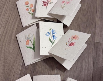 Wildflower Seeded Cards: Spring Botanical Art, Plantable C7 Card Set