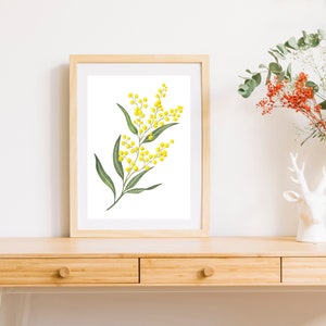 Watercolour Golden Wattle Fine Art Print, Watercolor Mimosa, Botanical Painting, Modern Wall Art Home Decor