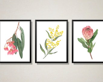 Set of 3 Watercolour Australian Native Flower Prints, Watercolour Eucalyptus, Golden Wattle and Protea Modern Wall Art Home Decor