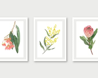 Set of 3 Watercolour Australian Native Flower Prints, Watercolour Eucalyptus, Golden Wattle and Protea Modern Wall Art Home Decor