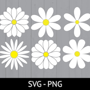 Daisy SVG Bundle, Commercial Use Cut File, Layered Flower SVG, Cut File ...