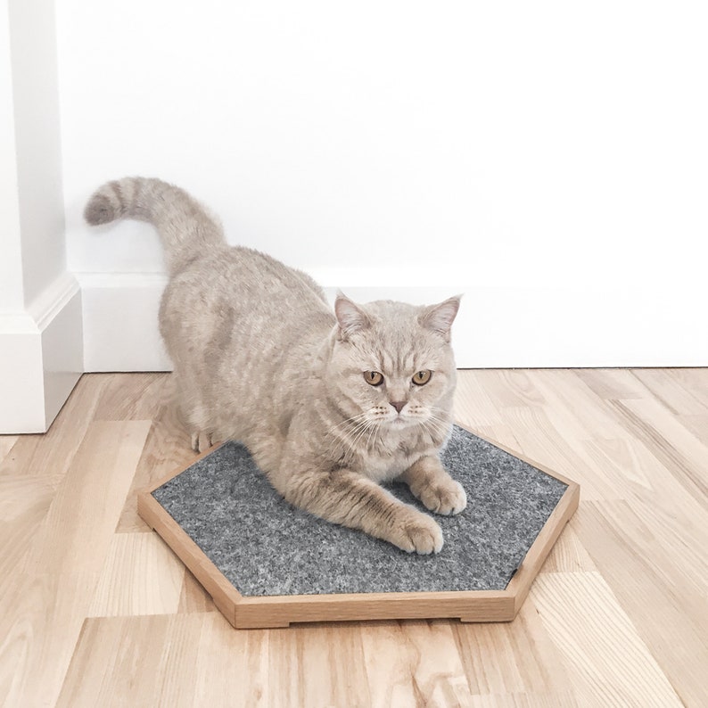 May include: A light gray cat with yellow eyes sits on a hexagonal cat scratching post with a gray felt surface and a light brown wooden frame.