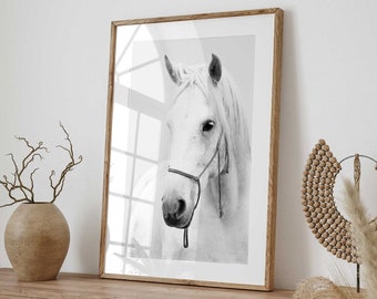 Printable Wall Art: White Horse Portrait - Digital Art Downloads, Instant Download Prints - Stunning Equine Art for Home Decor