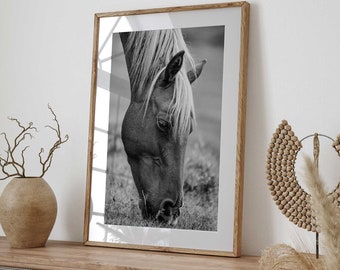 Black and White Intimate Horse Portrait Digital Print - Equine Contemplation - Instant Download