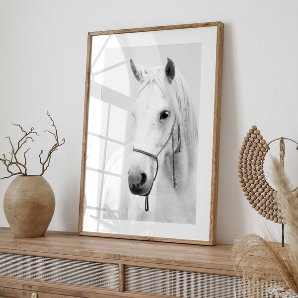 Printable Wall Art: White Horse Portrait - Digital Art Downloads, Instant Download Prints - Stunning Equine Art for Home Decor