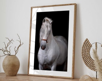 Spanish Stallion Art Print - White Horse Digital Portrait Download- Black and White Horse Print - Striking Equine Art