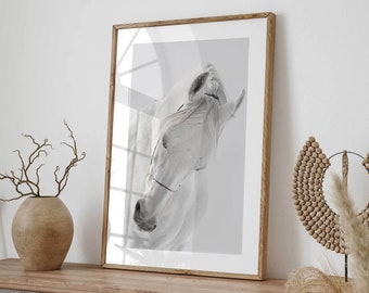 Elegant White Arabian Horse Print - Instant Download Animal Art