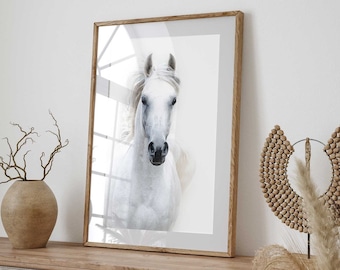 White Arabian Horse Print, White Arabian Horse Art, White Arabian Horse Printable, White Arabian Horse Photography, Horse Photo