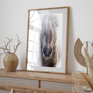 Palomino Horse Face Art Print, Horse Print, Equestrian Art, Horse Painting