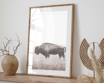American Bison Print - Instant Download - High-Quality Digital Art Print for Wall Decor.