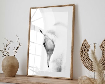 Spanish White Horse Portrait - Andalusian Horse - Equine Portrait  High-Quality Digital Instant Download Art Print Printable Wall Decor