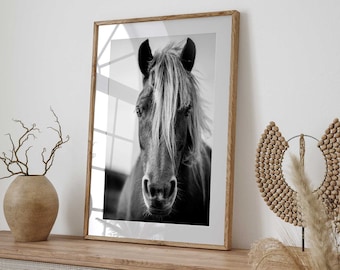 Black and White Horse Digital Photo Equine Majesty Instant Download Digital Art Prints