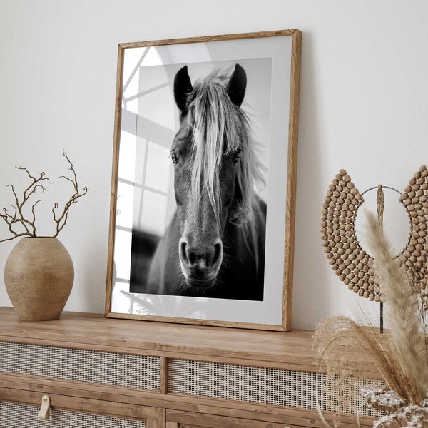 Black and White Horse Digital Photo Equine Majesty Instant Download Digital Art Prints