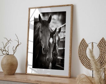 Intimate Equine Moments - Triple Horse Portrait Digital Art Print - Horse Portrait Art