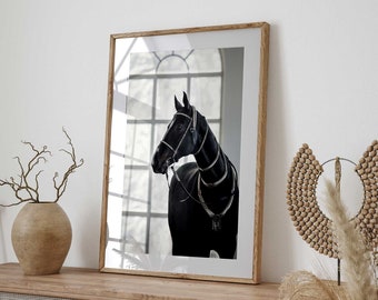 Black Horse Portrait Print, Black Horse Art, Black Horse Printable, Black Horse Photography, High-Quality Art, Printable Wall Art
