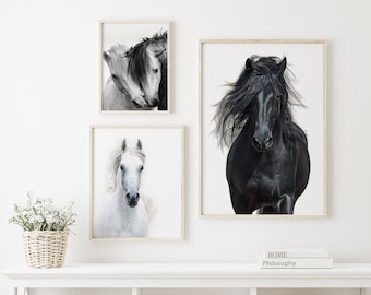 Black & White Horse Art Set - Printable Farmhouse Wall Decor Download Horse Digital Print - Black and White Horse Print