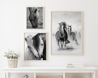 Black & White Horse Art Set - Printable Farmhouse Wall Decor Download Horse Digital Print - Black and White Horse Print