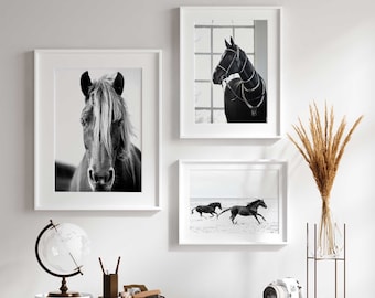 Horse Trio Wall Art Set - Black and White Digital Download Black & White Horse Art Set of 3 Art Prints - Printable Farmhouse Wall Decor