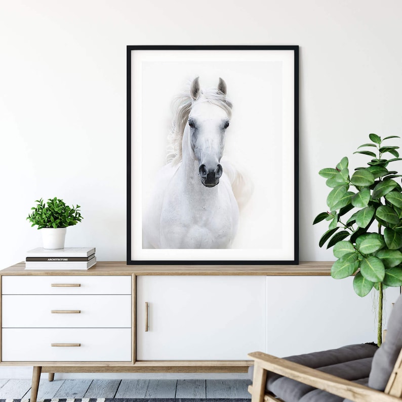 White Arabian Horse Print White Arabian Horse Art White | Etsy