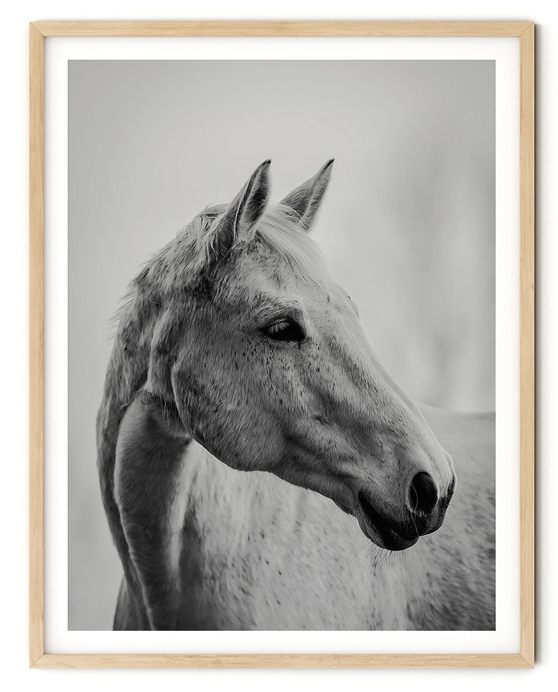 White Horse Art Print White horse printable Art White horse Etsy
