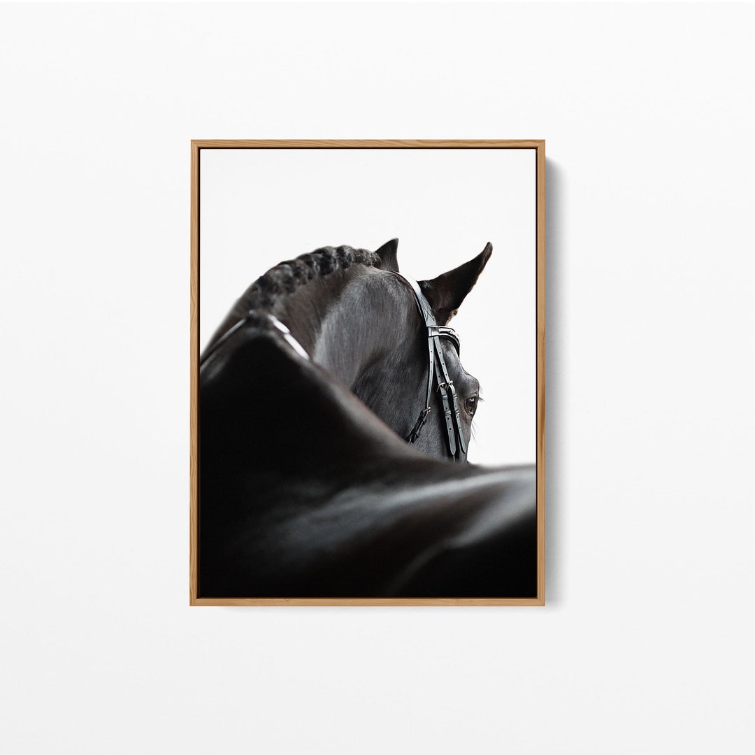 Black Horse Print Black Horse Art Black Horse Printable Etsy