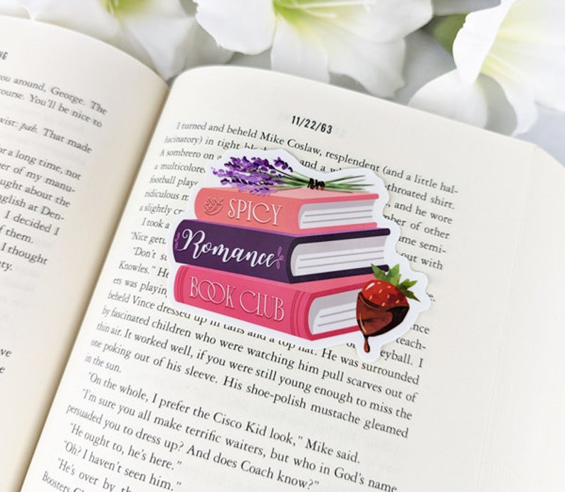 May include: A stack of three pink and purple books with the words "Spicy", "Romance", and "Book Club" on the covers. A small chocolate-covered strawberry is on top of the books.
