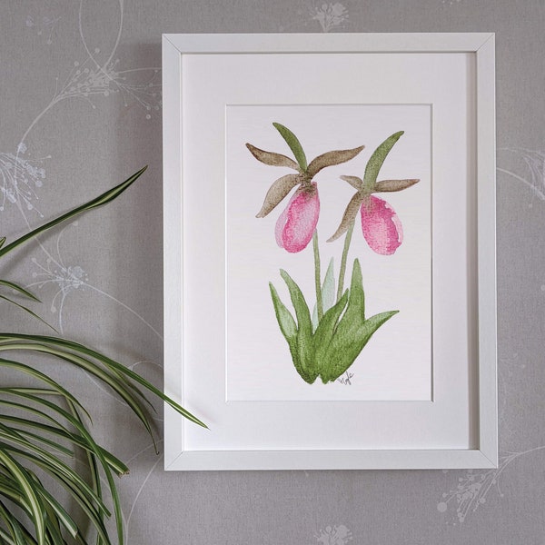 Lady slipper orchids - original watercolour painting