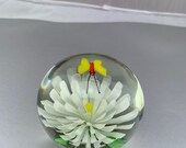 Cute Large Vintage Hand Blown Glass Paperweight with a floating butterfly over a Daisy.