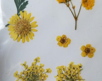 Dried Flowers Resin - Etsy