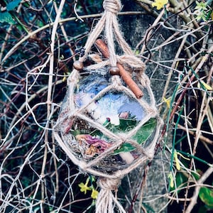 May include: A glass orb with a natural twine net, filled with dried flowers, leaves, and cinnamon sticks. The orb is hanging from a branch with a long twine tassel.