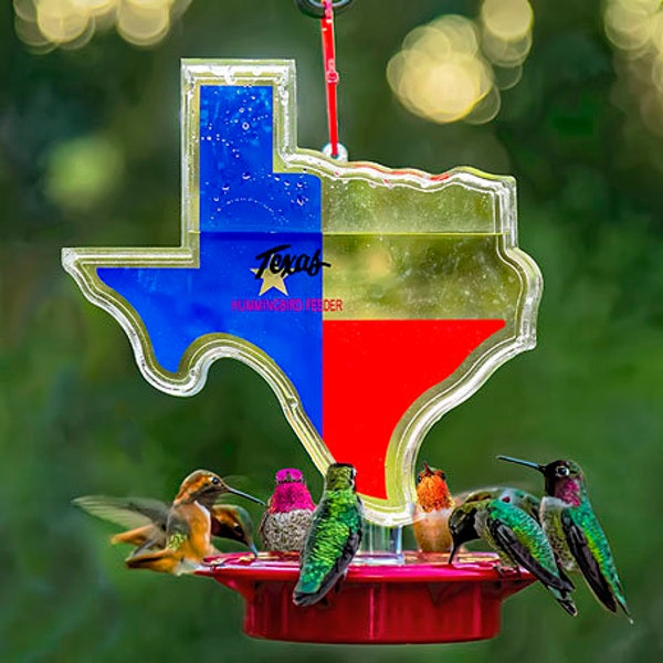 Texas Shaped Hummingbird Feeder