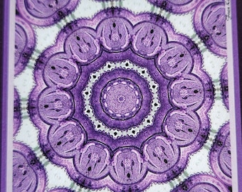 Lavender Glass Kaleidoscope Notecard 4x6 with Kraft Envelope from an original photograph by Duckydaddles