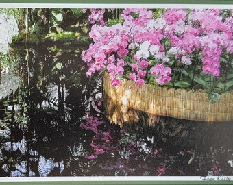 Orchids with Reflection Notecard 4x6 with Kraft Envelope from an original photograph by Duckydaddles