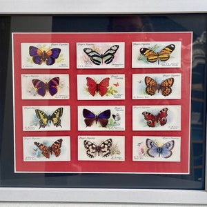 Papillons * Cartes de cigarettes vintage 1930 * Cadeau d'art mural