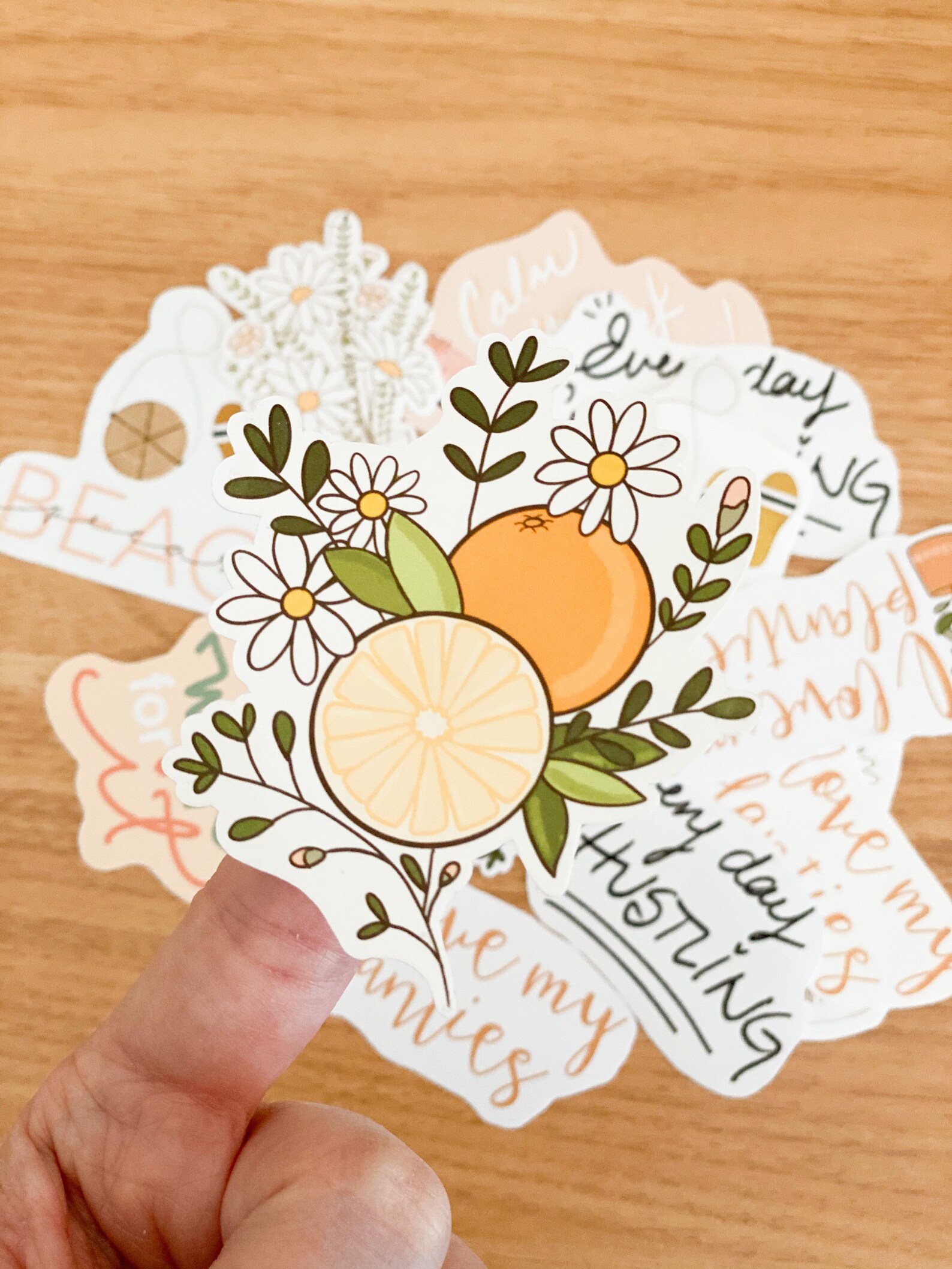 Clementine sticker citrus stickers orange stickers summer Etsy