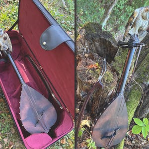 May include: A handcrafted stringed instrument with a wooden body and a long neck, adorned with a carved owl figurine. The instrument is displayed in a burgundy case and also leaning against a tree trunk.