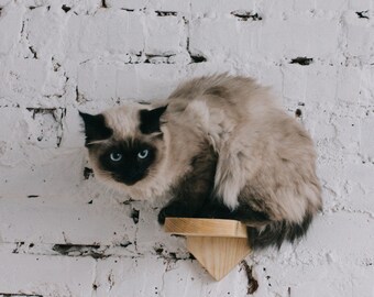 Set of 3 cat wall hanging steps, cat wall shelves post with carpet or sisal rope, pet wooden modern furniture, cat owner Birthday gift
