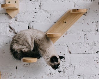Pine wood cat wall ladder steps with carpet or sisal rope, pet wooden wall furniture, cat wall shelves, cat room decor