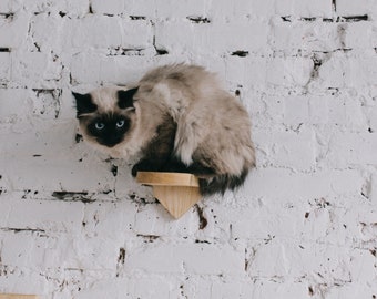 Natural pine wood cat steps wall mounted with carpet or sisal rope, pet modern furniture,cat lover Christmas gift