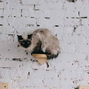 Natural pine wood cat steps wall mounted with carpet or sisal rope, pet modern furniture,cat lover Christmas gift