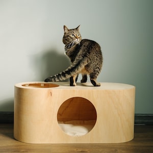 Peut inclure: Un chat tigré se tient sur une maison pour chat en bois clair avec une ouverture circulaire. La maison pour chat a une forme rectangulaire arrondie et un coussin blanc à l'intérieur. Le chat regarde par-dessus son épaule.