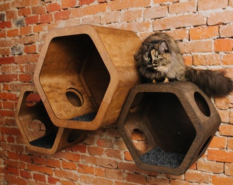 Modern hexagon cat staircase wall shelves set, minimalist honeycomb catio furniture, wall mounted cat house post