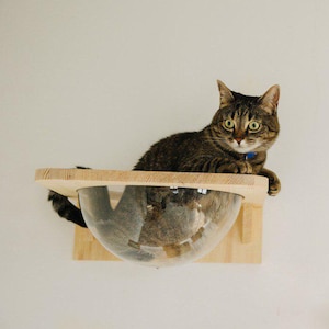 キャットハウス 屋内猫のための猫の洞窟多機能キューブキャット