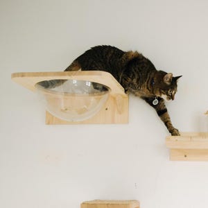 Étagère pour chat en bois, lit mural en bois naturel écologique, perchoir avec sphère en plastique, poteau de meuble de jeu pour chat, cadeau pour amoureux des chats