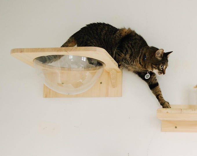 Wooden cat shelf, wall mounted bed made from natural ecological wood, perch with plastic sphere, cat play furniture post, cat lover gift
