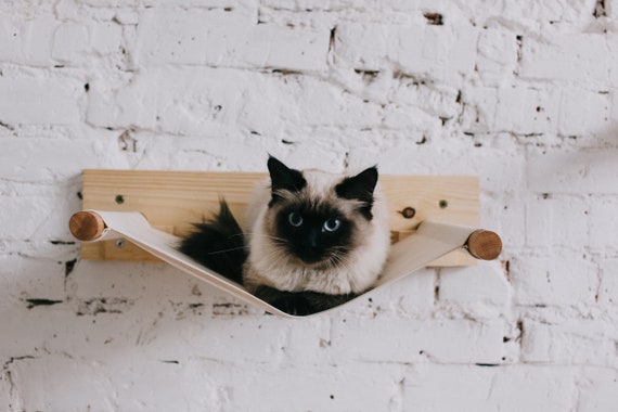 Moderne Katzen Hngematte Bett, Natur ko Recycling Holz Wand montiert  Katzenbarsch Mbel, Katzenliebhaber Geschenk - Etsy.de