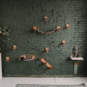 Brown pine wall cat jungle gym, play furniture cat shelves post includes cat bed, cat hammock, cat steps, bridge, scrathching post