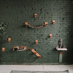 May include: A cat climbing wall system with multiple wooden platforms, a rope bridge, and a ramp is mounted on a dark green brick wall. Two cats are resting on the platforms. The room has a white cabinet and a window.